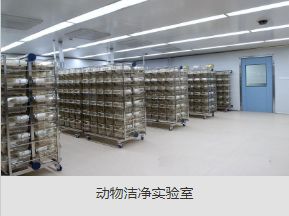 工程图片