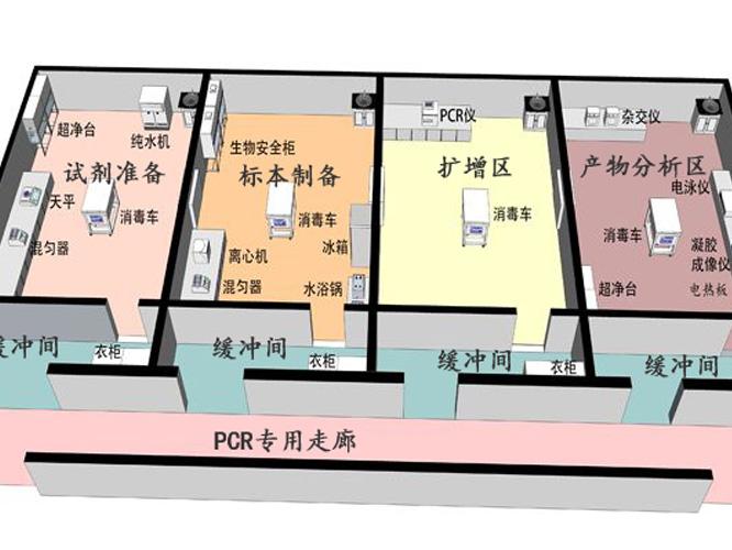 案例展示